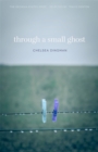 Through a Small Ghost : Poems - eBook