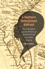 A Southern Underground Railroad : Black Georgians and the Promise of Spanish Florida and Indian Country - eBook