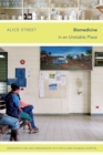 Biomedicine in an Unstable Place : Infrastructure and Personhood in a Papua New Guinean Hospital - Book