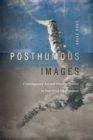 Posthumous Images : Contemporary Art and Memory Politics in Post-Civil War Lebanon - eBook