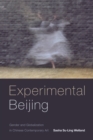 Experimental Beijing : Gender and Globalization in Chinese Contemporary Art - eBook