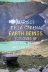 Earth Beings : Ecologies of Practice across Andean Worlds - eBook