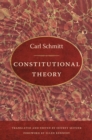 Constitutional Theory - eBook