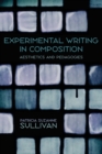 Experimental Writing in Composition : Aesthetics and Pedagogies - eBook