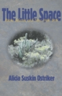 The Little Space : Poems Selected and New, 1968-1998 - eBook