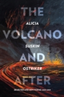 The Volcano and After : Selected and New Poems 2002-2019 - eBook