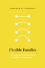 Flexible Families : Nicaraguan Transnational Families in Costa Rica - eBook
