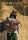 Changing Birth in the Andes : Culture, Policy, and Safe Motherhood in Peru - eBook