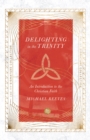 Delighting in the Trinity : An Introduction to the Christian Faith - eBook