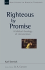 Righteous by Promise : A Biblical Theology of Circumcision - eBook