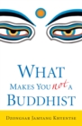 What Makes You Not a Buddhist - eBook