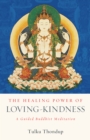 Healing Power of Loving-Kindness - eBook