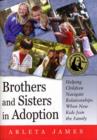 Brothers and Sisters in Adoption : Helping Children Navigate Relationships When New Kids Join the Family - eBook