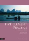 The Handbook of Five Element Practice - eBook