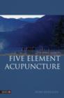 The Simple Guide to Five Element Acupuncture - eBook