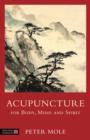 Acupuncture for Body, Mind and Spirit - eBook
