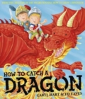 How To Catch a Dragon - Book