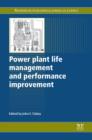 Power Plant Life Management and Performance Improvement - eBook