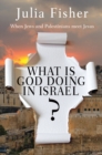 What is God Doing in Israel? : When Jews and Palestinians meet Jesus - Book