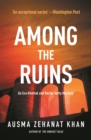 Among the Ruins - eBook