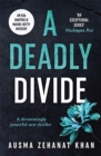 A Deadly Divide - Book