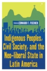 Indigenous Peoples, Civil Society, and the Neo-liberal State in Latin America - eBook