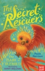The Secret Rescuers: The Baby Firebird - eBook