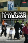Palestinians in Lebanon : Refugees Living with Long-Term Displacement - eBook