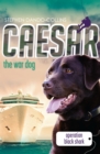 Caesar the War Dog 5: Operation Black Shark - eBook