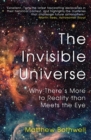 The Invisible Universe : Why There's More to Reality than Meets the Eye - Book