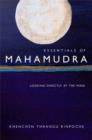 Essentials of Mahamudra : Looking Directly at the Mind - eBook