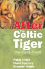 After the Celtic Tiger : Challenges Ahead - Book