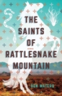 The Saints of Rattlesnake Mountain : Stories - eBook