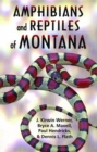 Amphibians and Reptiles of Montana - eBook