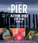 The Pier at the End of the World - eBook