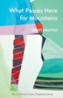 What Passes Here for Mountains - Book