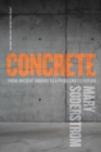 Concrete : From Ancient Origins to a Problematic Future - eBook