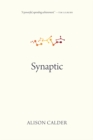 Synaptic - eBook