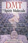 Dmt : the Spririt Molecule : A Doctors Revolutionary Research into the Biology of out-of-Body Near-Death and Mystical Experiences - Book