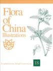 Flora of China Illustrations, Volume 18 - Scrophulariaceae through Gesneriaceae - Book