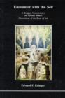 Encounter with the Self : Jungian Commentary on William Blake's "Illustrations of the Book of Job" - Book