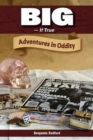Big-If True : Adventures in Oddity - eBook
