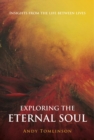 Exploring the Eternal Soul : Insights from the Life Between Lives - eBook
