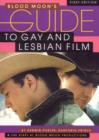 Blood Moon's Guide to Gay and Lesbian Film : The World's Most Comprehensive Guide to Recent Gay and Lesbian Movies - eBook