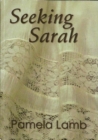 Seeking Sarah - eBook