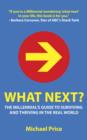 What Next? : The Millennial's Guide to Surviving and Thriving in the Real World - eBook
