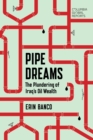 Pipe Dreams : The Plundering of Iraq's Oil Wealth - eBook