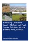 Estimating Combined Loads of Diffuse and Point-Source Pollutants Into the Borkena River, Ethiopia - eBook