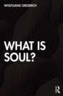 What is Soul? - eBook
