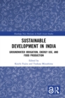 Sustainable Development in India : Groundwater Irrigation, Energy Use, and Food Production - eBook